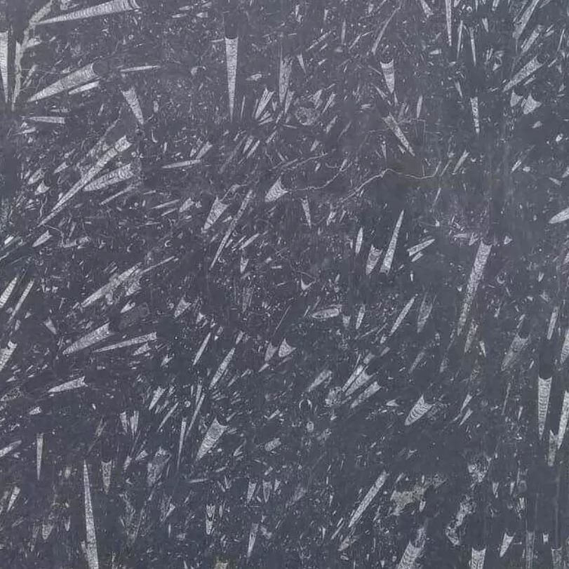 Kategorie 4a - Nero Fossil