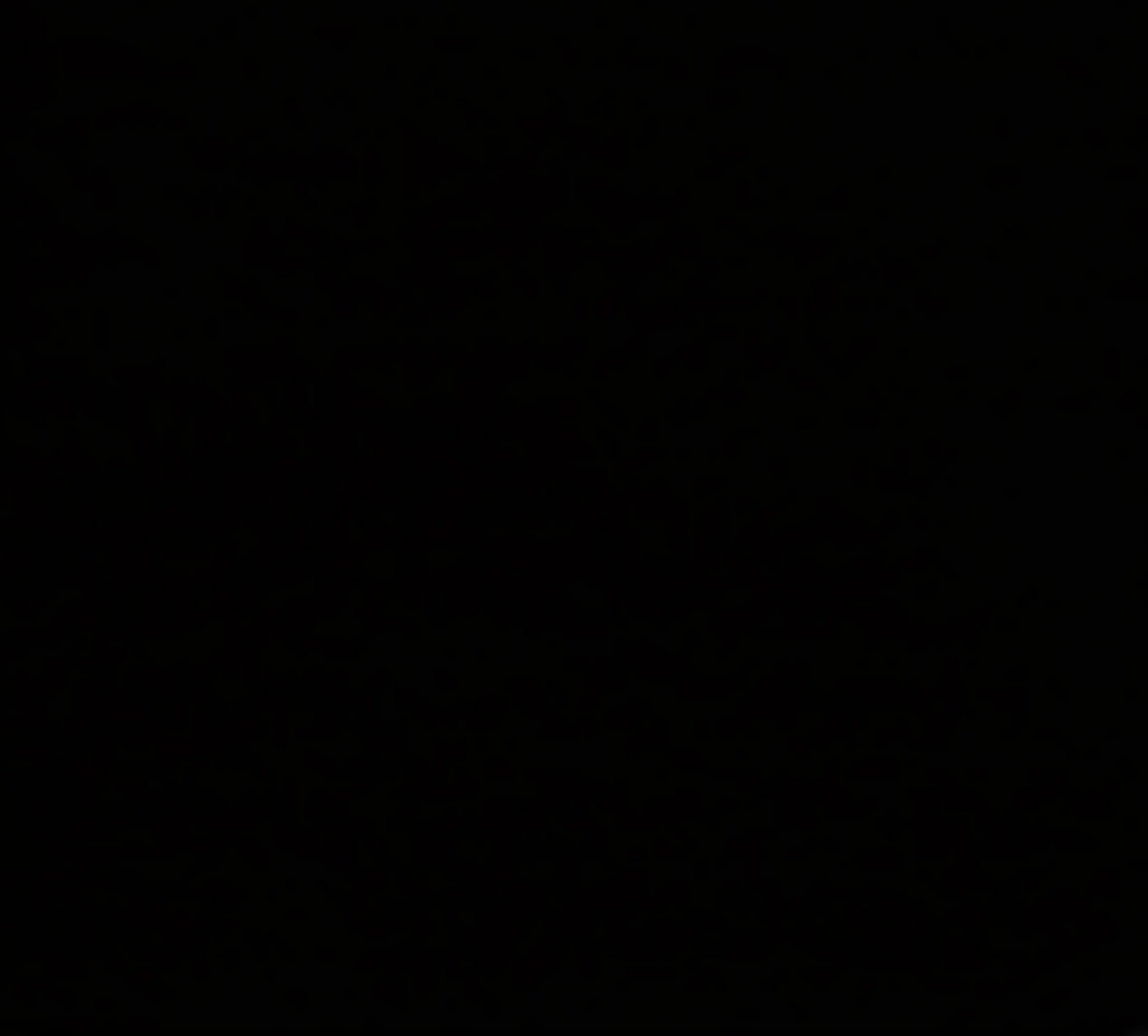 Fenix NTM® matt schwarz