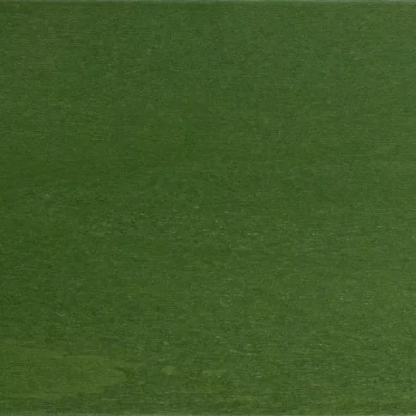 Buche II olivgrün (RAL6003) gebeizt