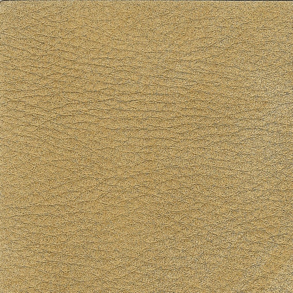 Leder E Scirocco Daino