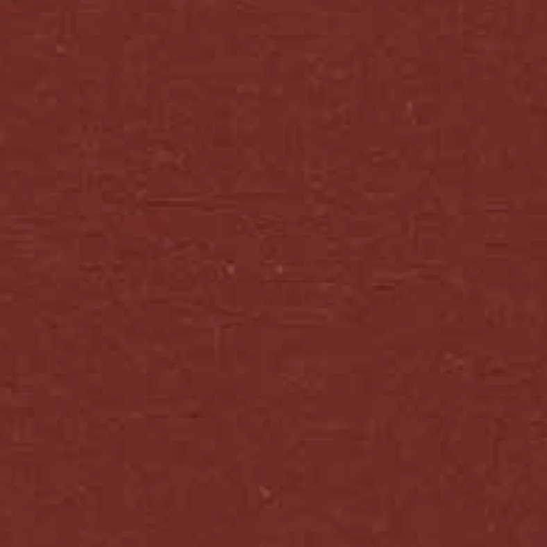 Leder Cat. VIP - Vogue 425