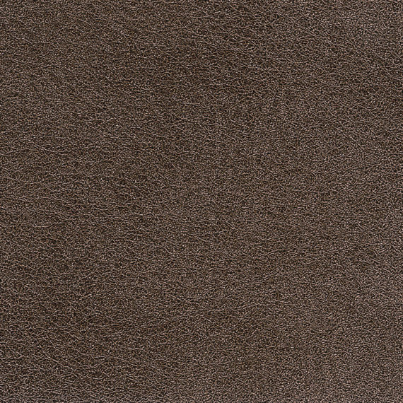 Leder E Scirocco Bruno Copia