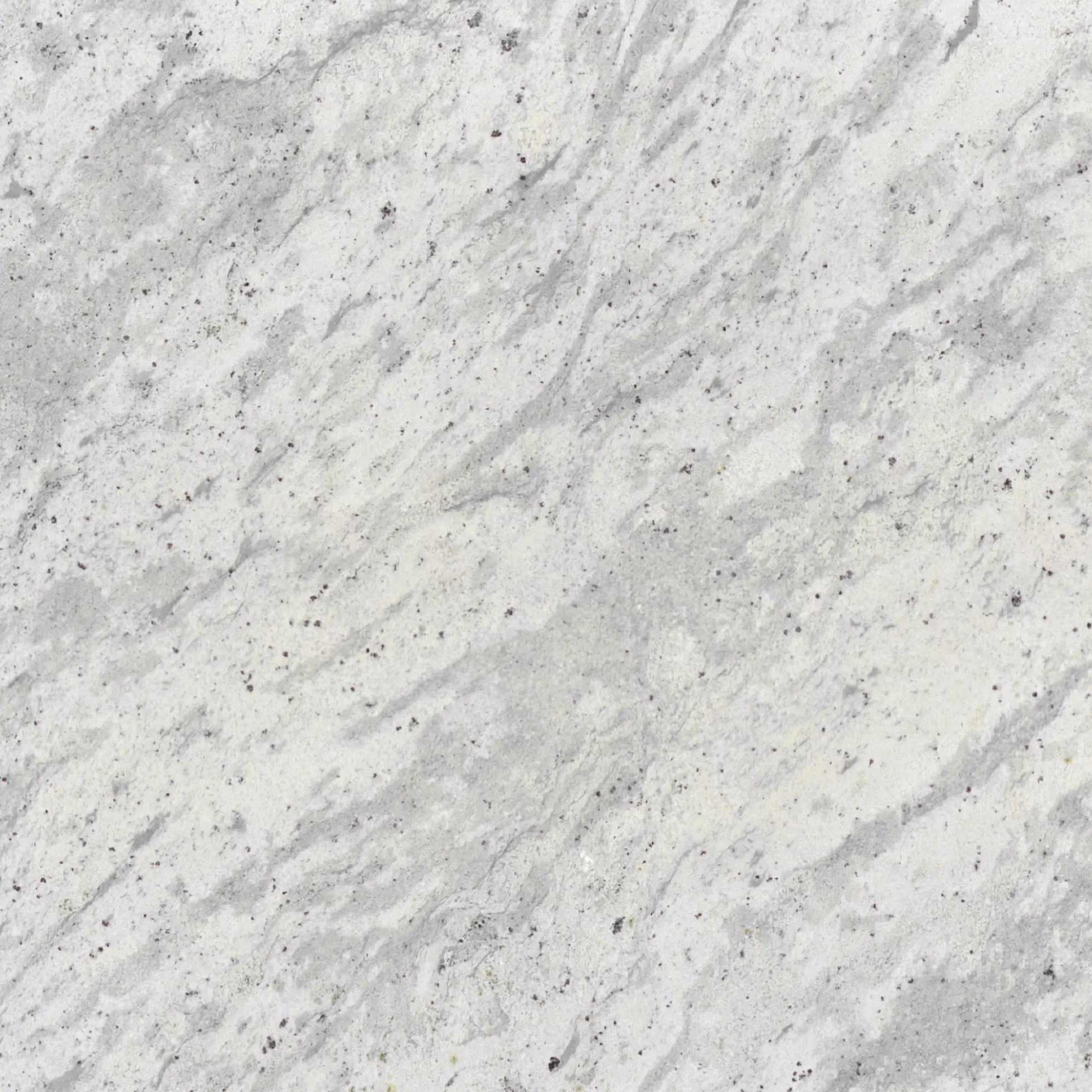 Kategorie 3 - Andromeda White