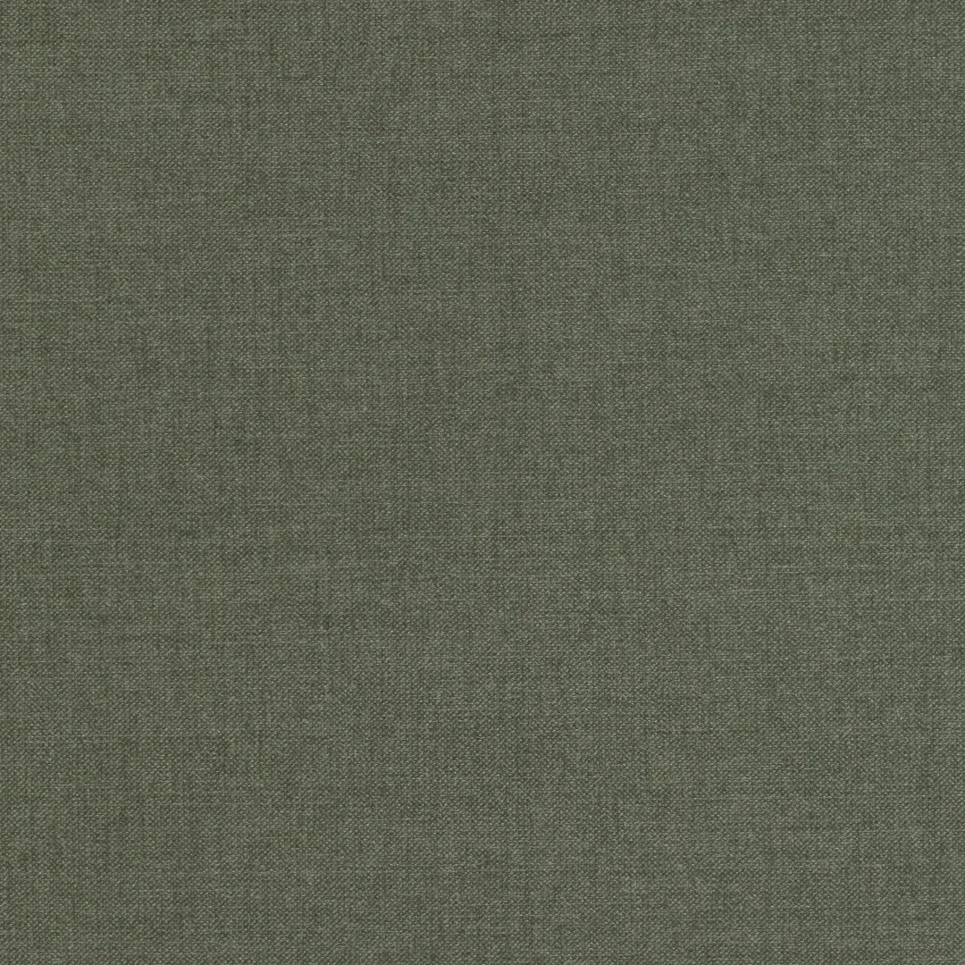 Belsuede Special FR Dedar 038