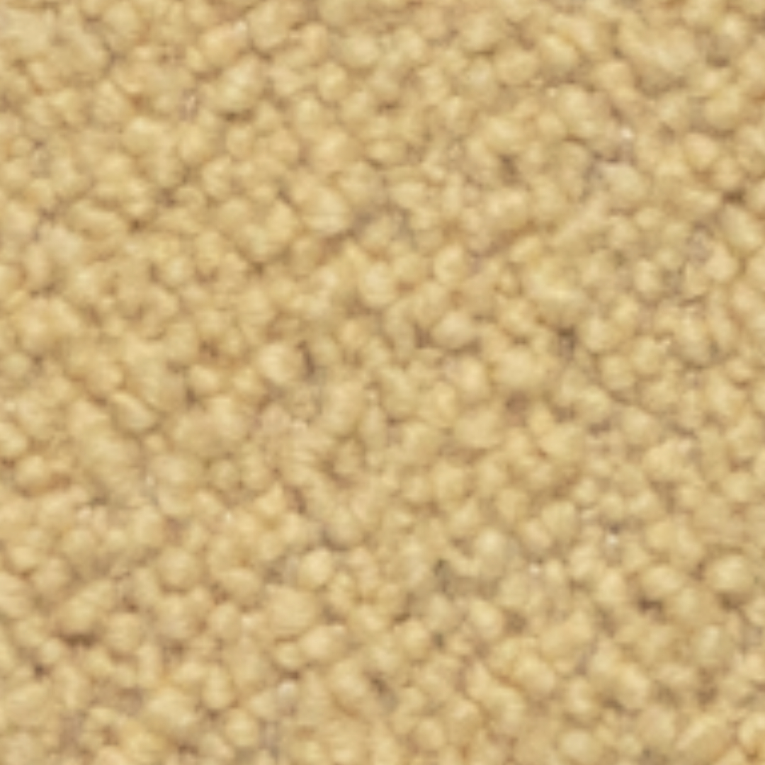 Cat.40 Quantum 40513