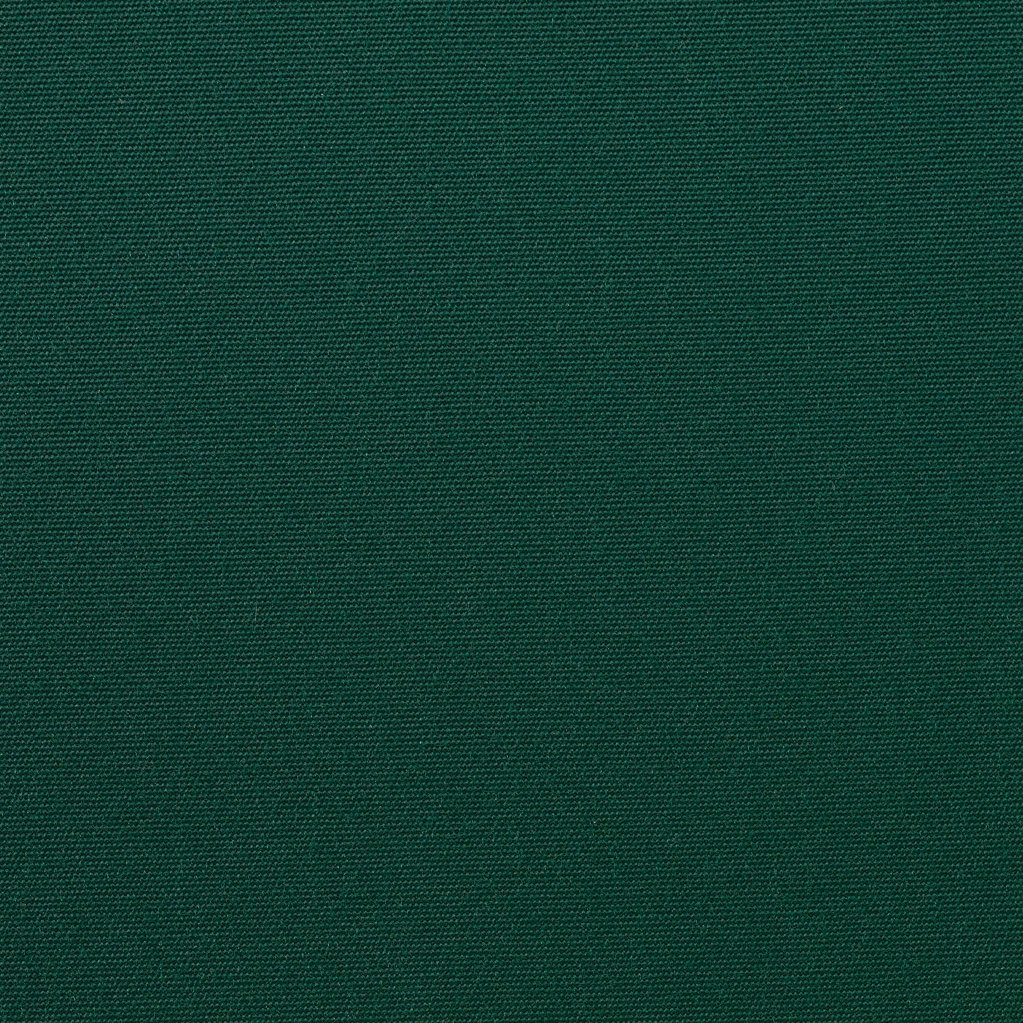 Aloe (521), Stoffkl. 5