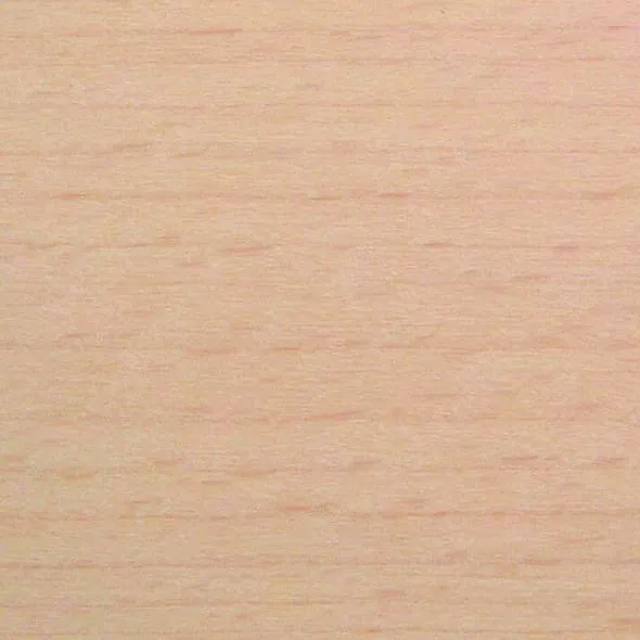 Buche I aufgehellt (TP107) gebeizt