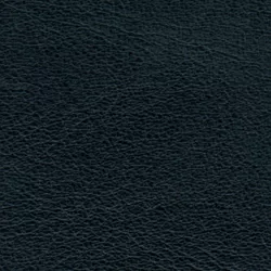 Leder Rancho Schwarz