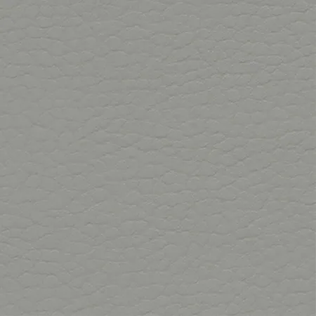 Coast Dolphin 640-6508