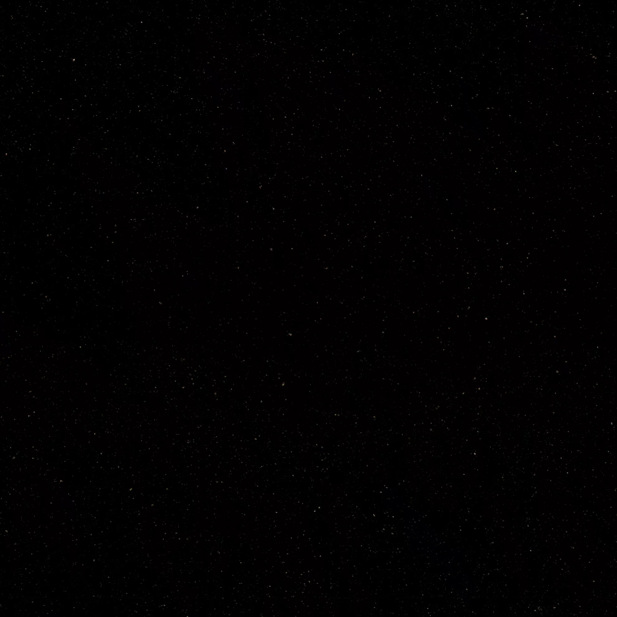 Kategorie 4 - Black Amethyst