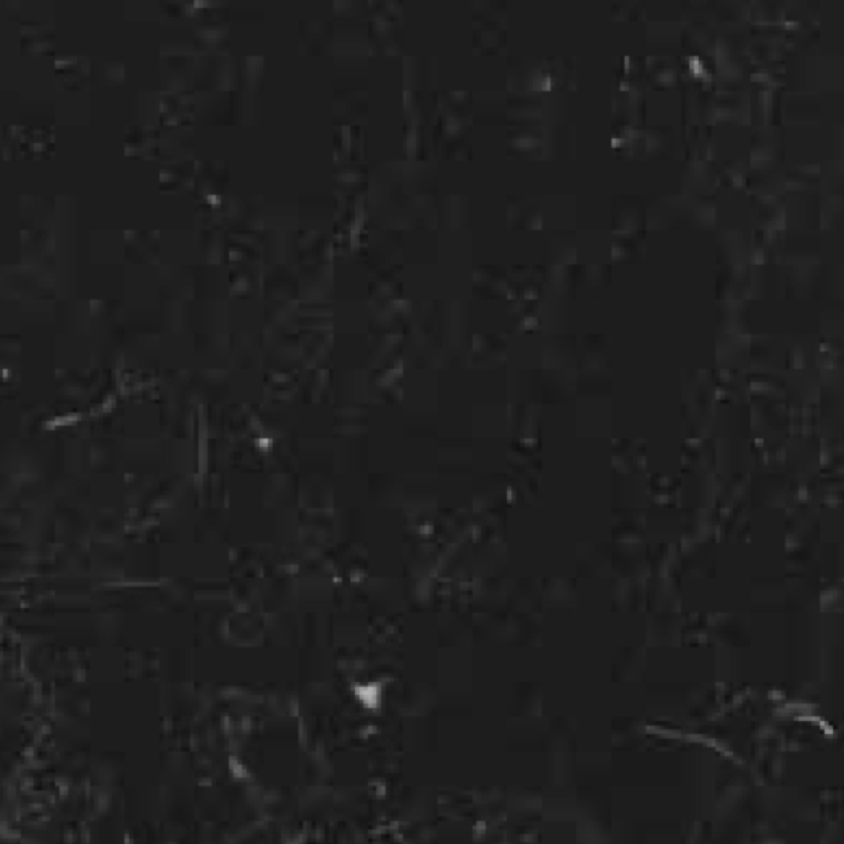 MA06 Schwarz Marquina