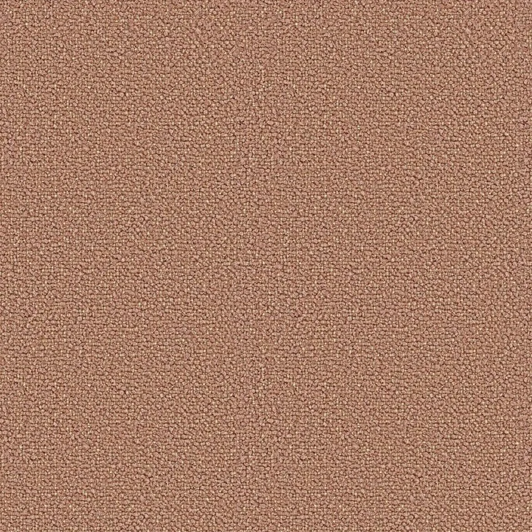 Loop Marrone | B Category