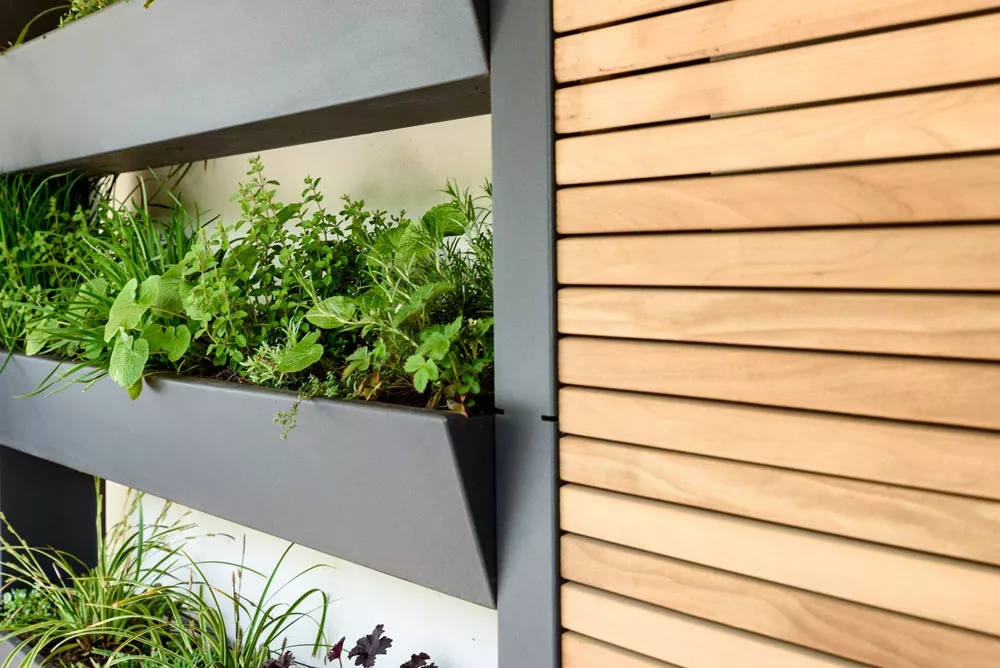 Vertikalgarten von Gartensilber mit Thermoesche-Sichtschutz, 200x20 cm, in modernem Design, Nahaufnahme mit Pflanzen im Vordergrund.