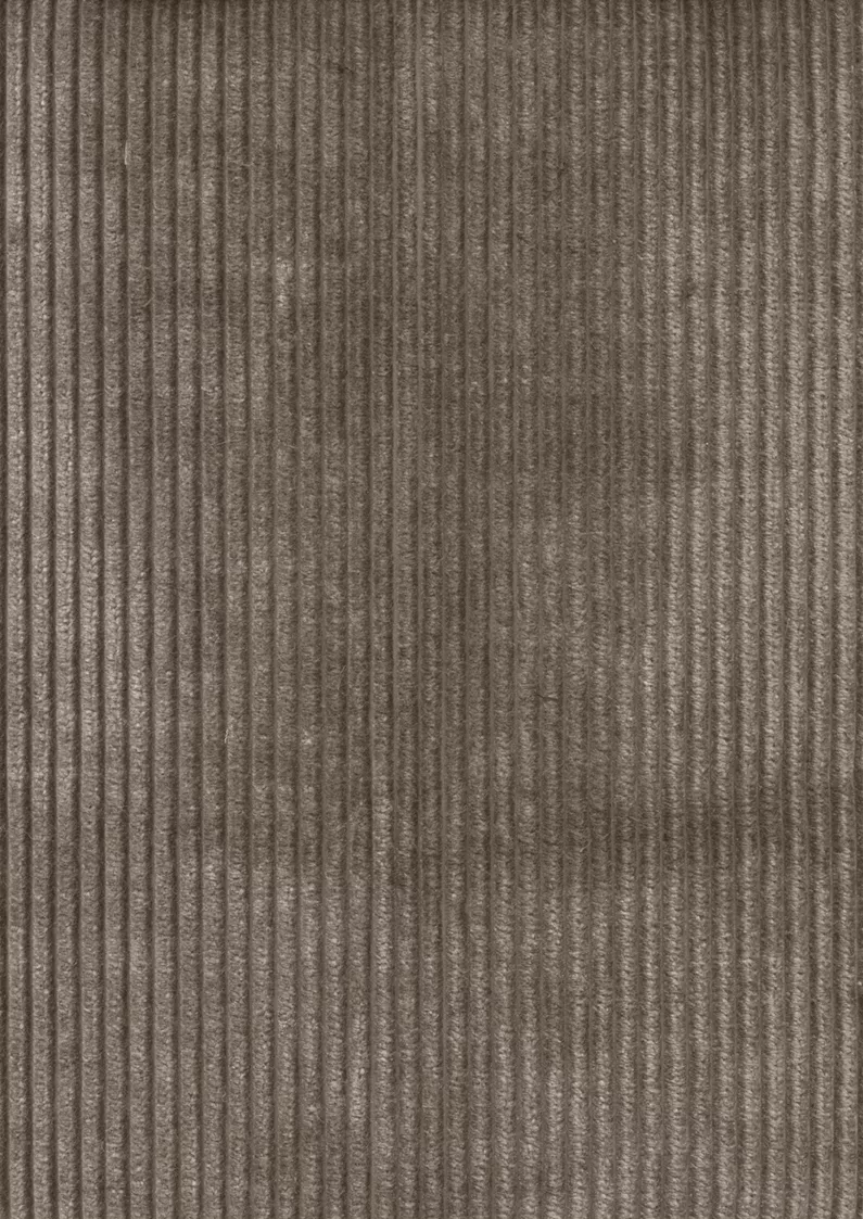 C-Corduroy September