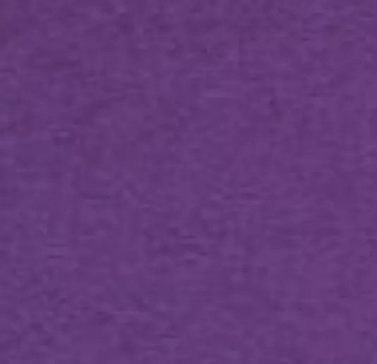 Bright Purle666D