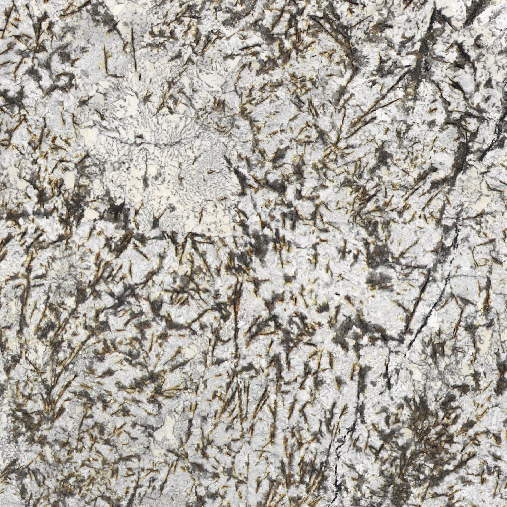 Kategorie 3 - Gold & Silver