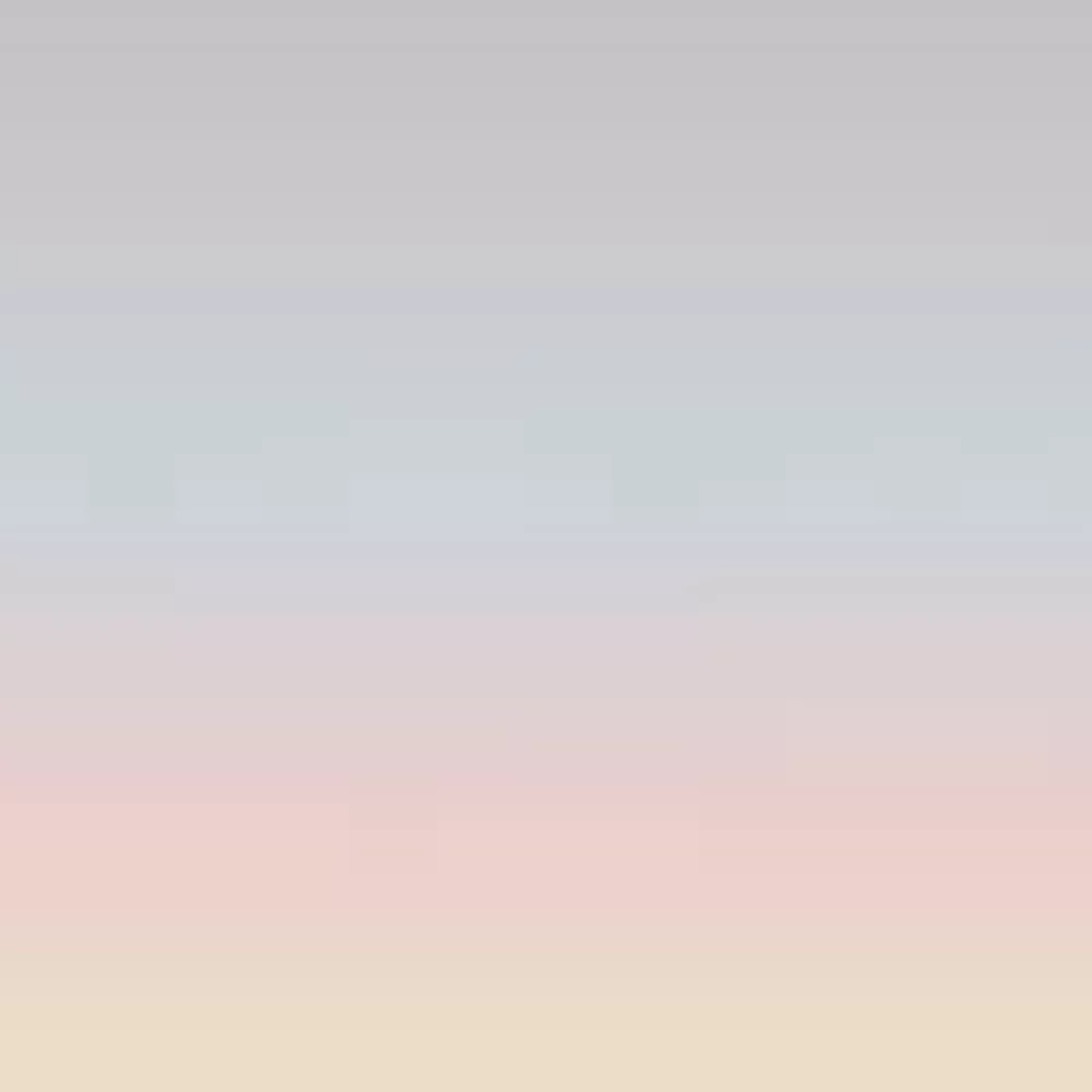 Pastels Oyster Blue Rose