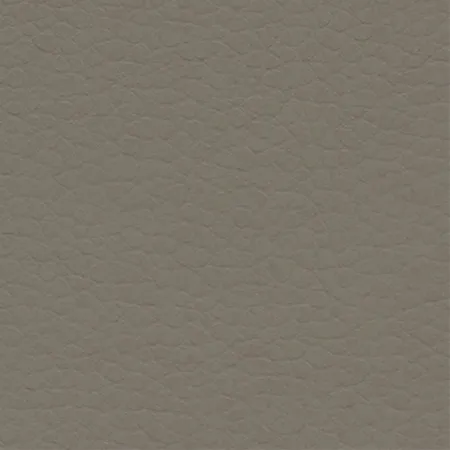 Coast Walrus Grey 640-6086