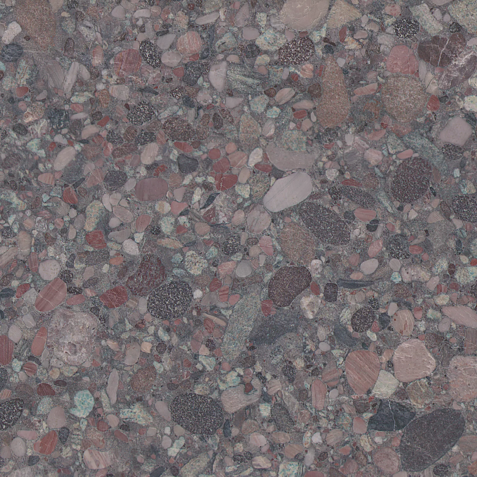 Kategorie 4 - Aquarius