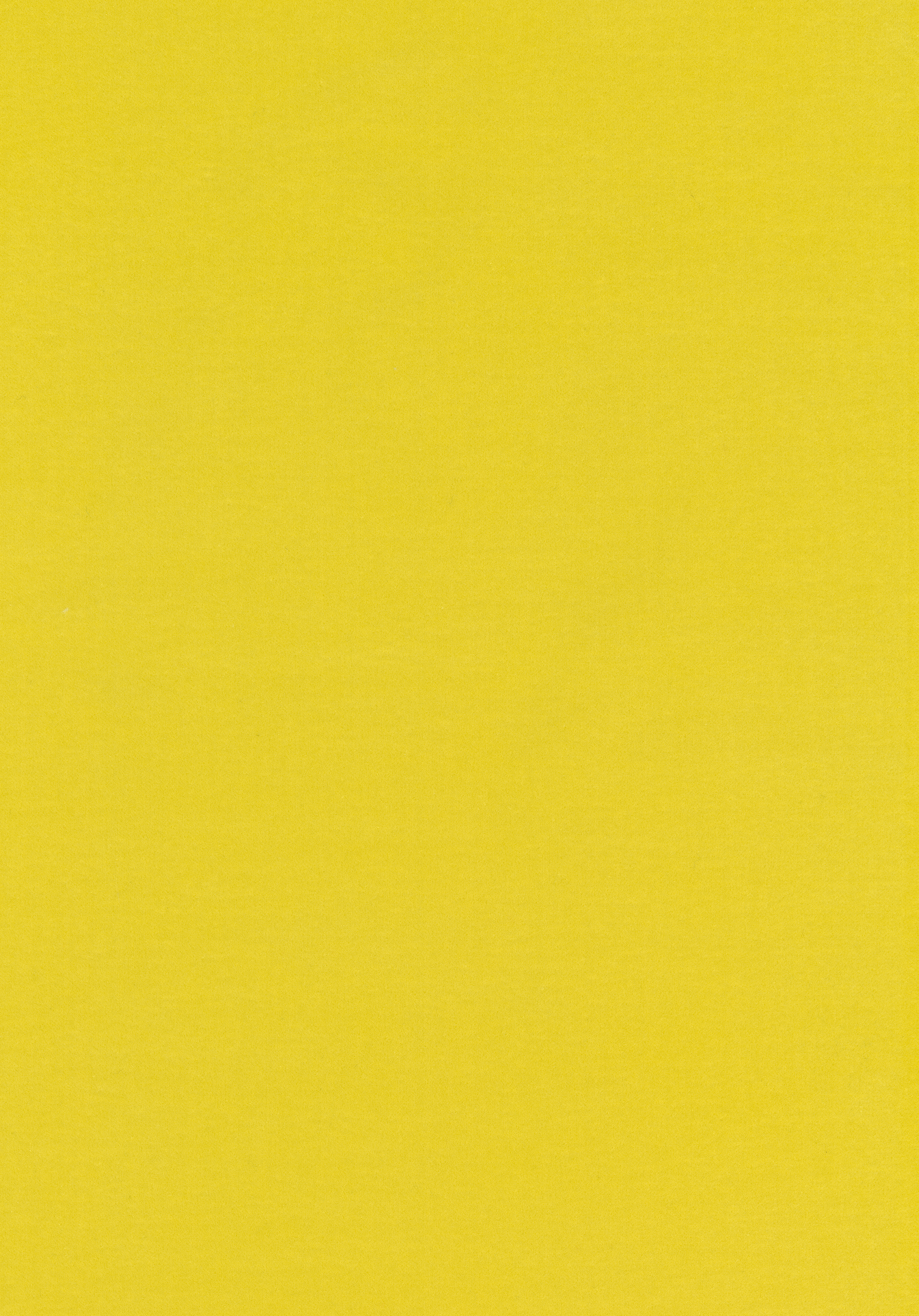 Kategorie W A7781 Harald - Giallo