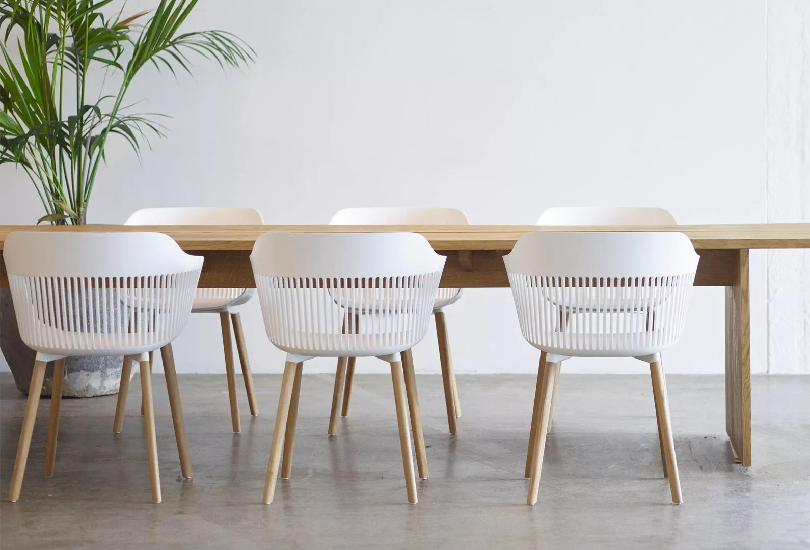 Sechs Dedon Aiir Esszimmerstühle in Weiß um einen Holztisch in einem modernen Esszimmer mit einer Pflanze im Hintergrund