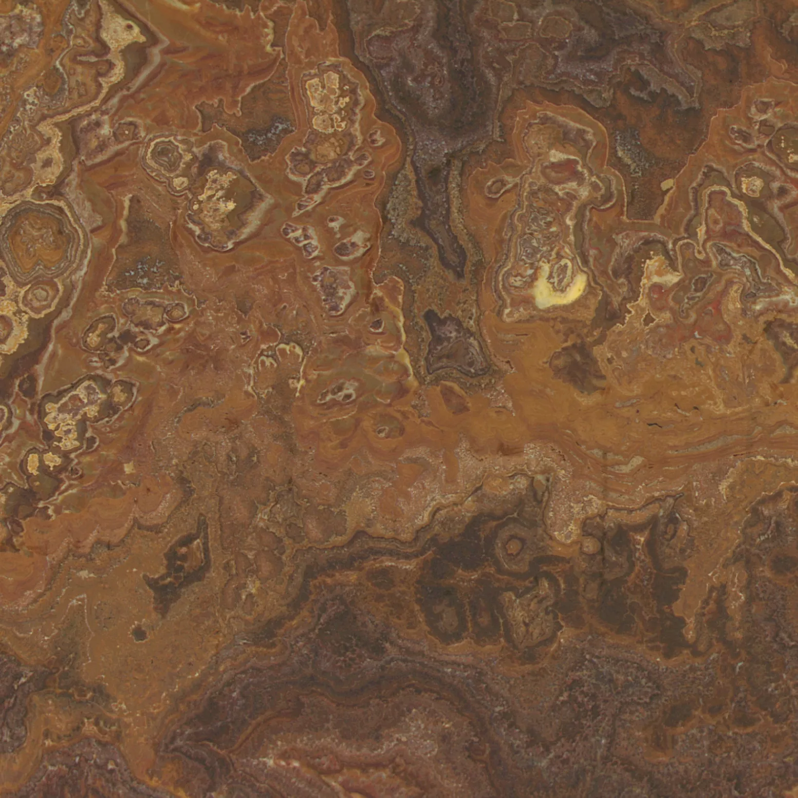 Kategorie 6 - Onice Ambra