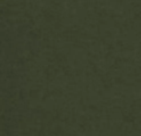 Dark Olive131T