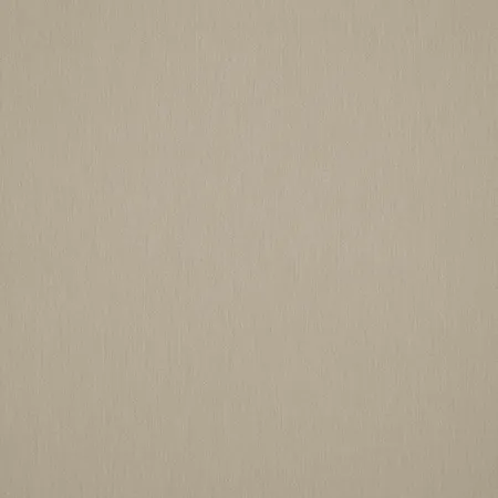 Solids & Stripes Papyrus P055