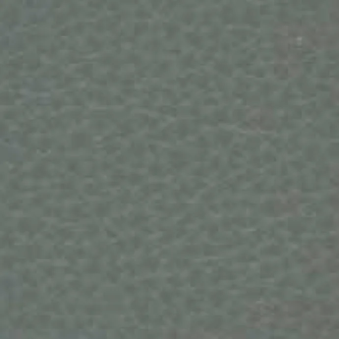 Leder Cat. Premium - Polar 204