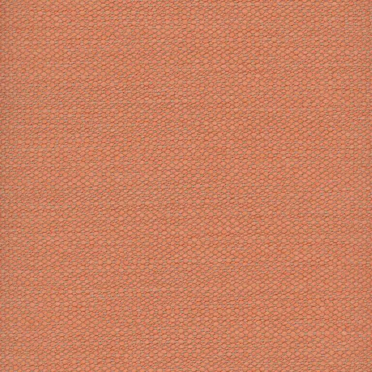 Kalahari Coral | C Category