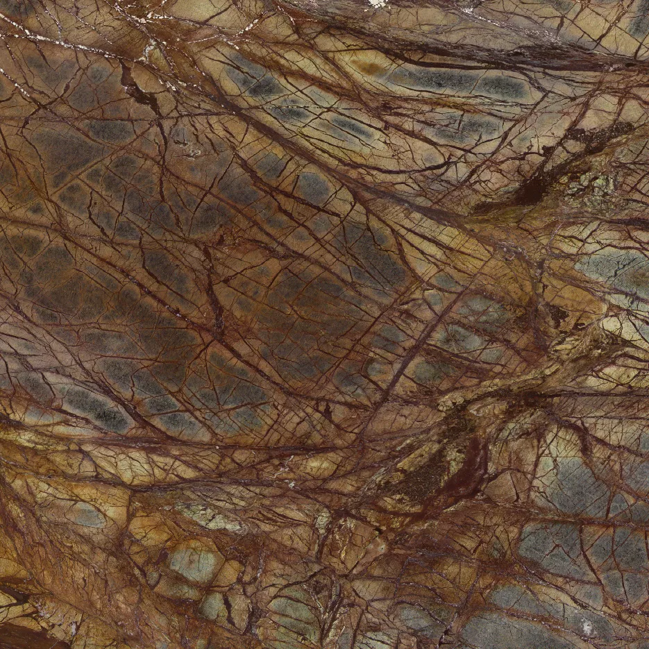 Kategorie 4 - Forest Brown