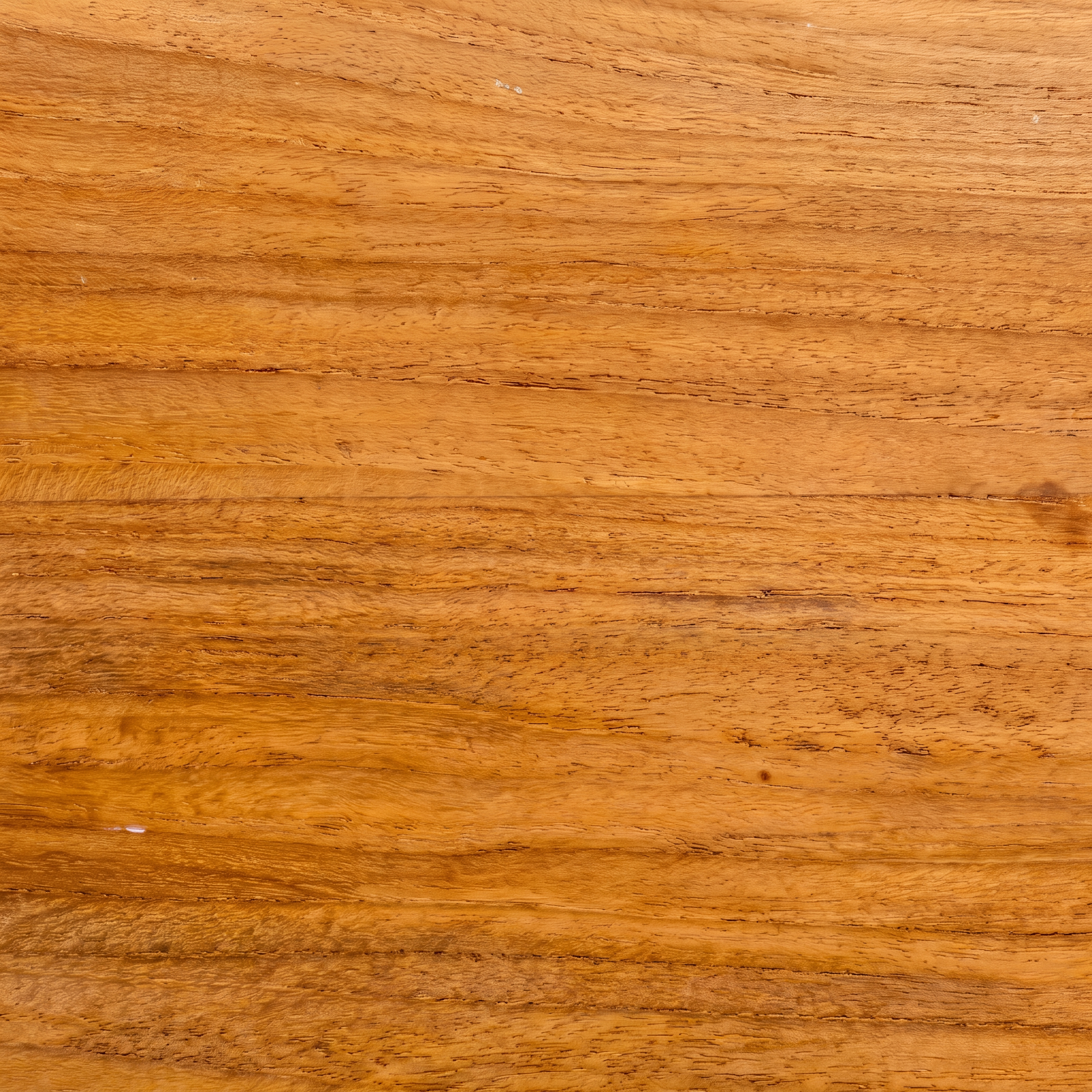Teak, geölt