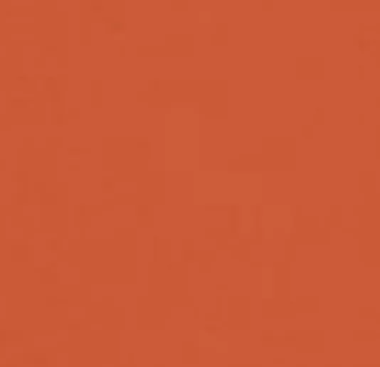 Dark Orange562D
