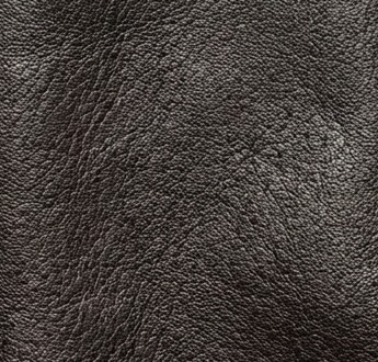 Leder - Marrone