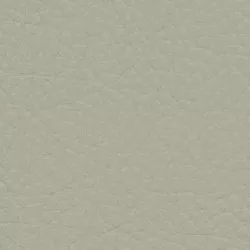 Leder Namibia Lichtgrau