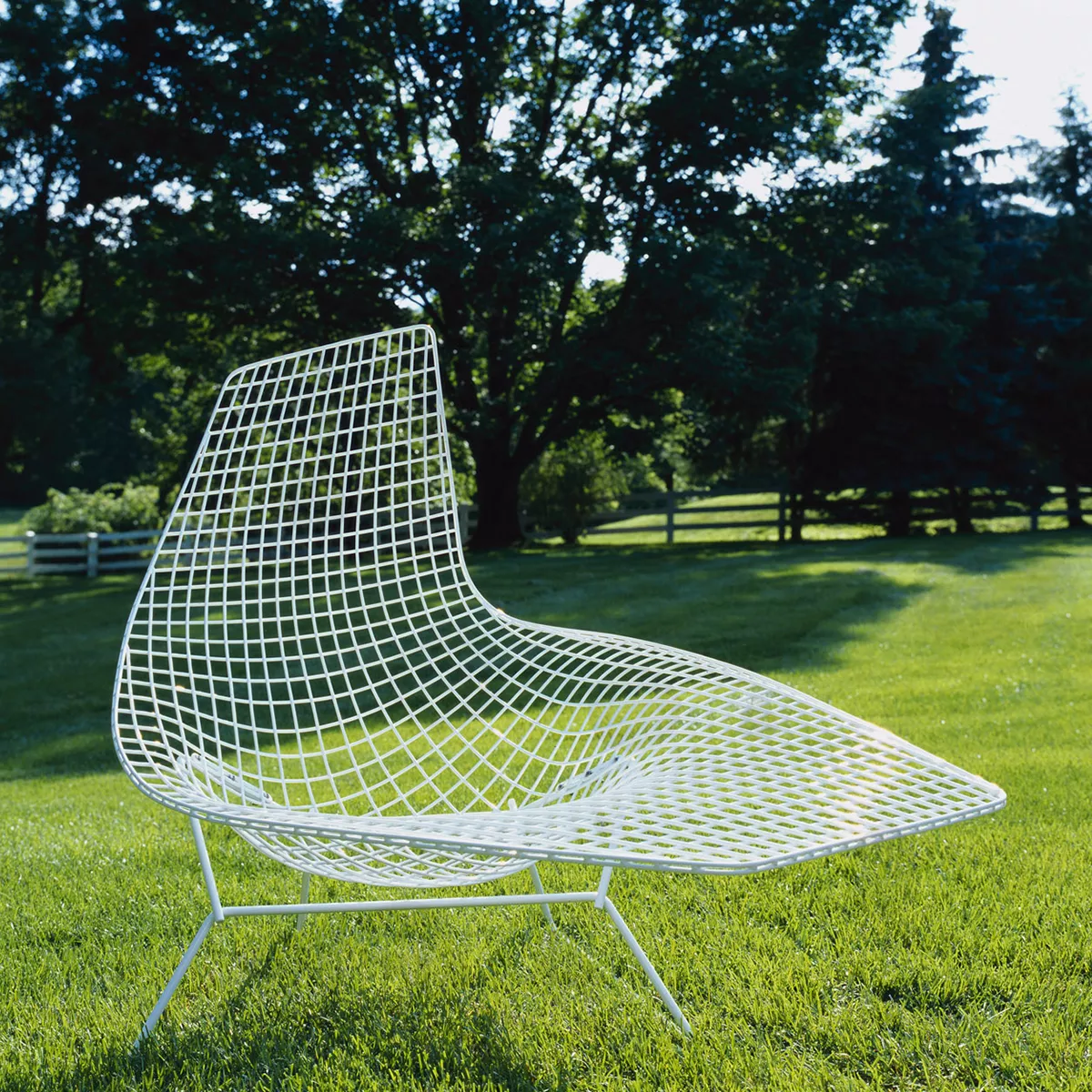 Knoll Harry Bertoia Outdoor Loungesessel in einem grünen Garten mit Bäumen im Hintergrund