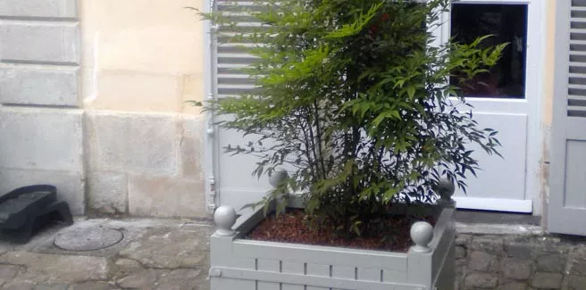 Orangerie Pflanzkübel aus lackiertem Akazienholz steht vor einer Tür und enthält eine grüne Pflanze im Außenbereich