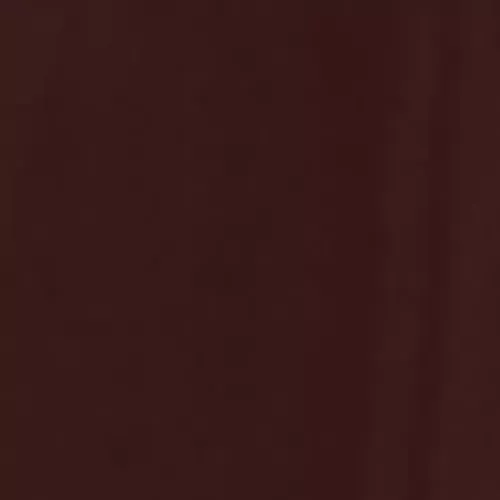 Buche dunkelbraun-violett - hochglanz