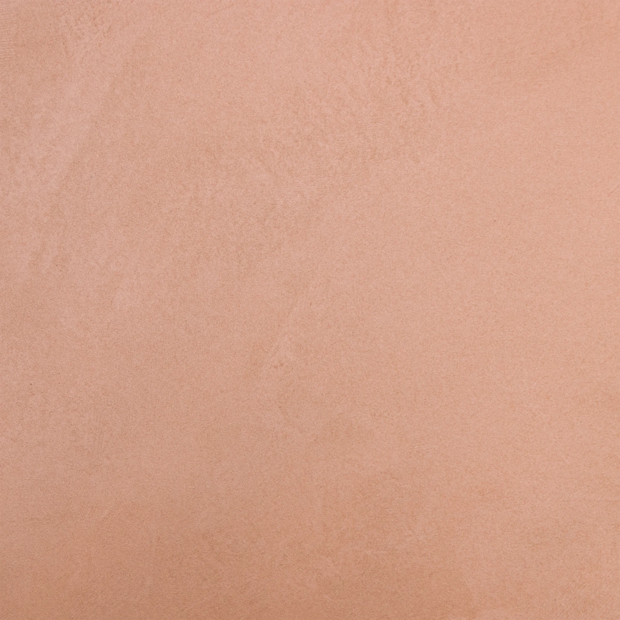 Keramik Fossil Terracotta