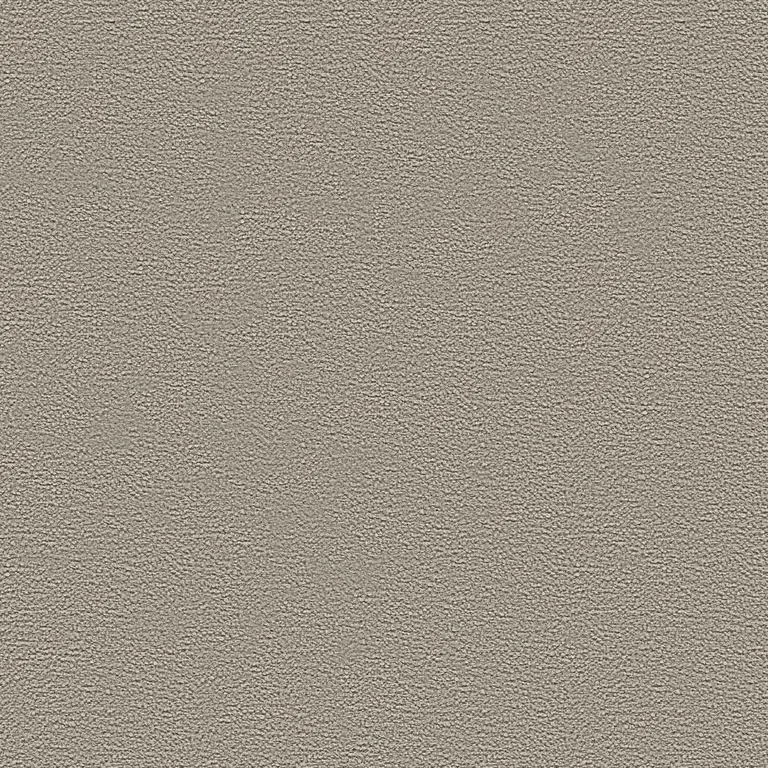 Loop 02 Corda | B Category