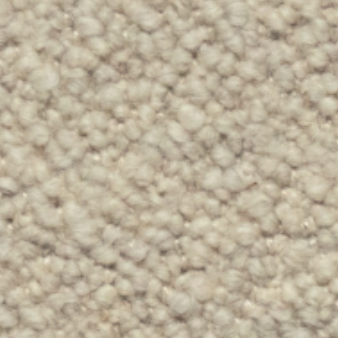 Cat.40 Quantum 40501