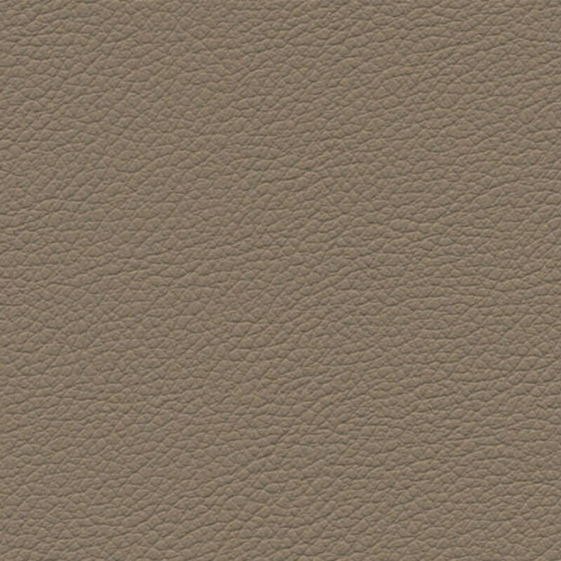 Natural Gemini Stone