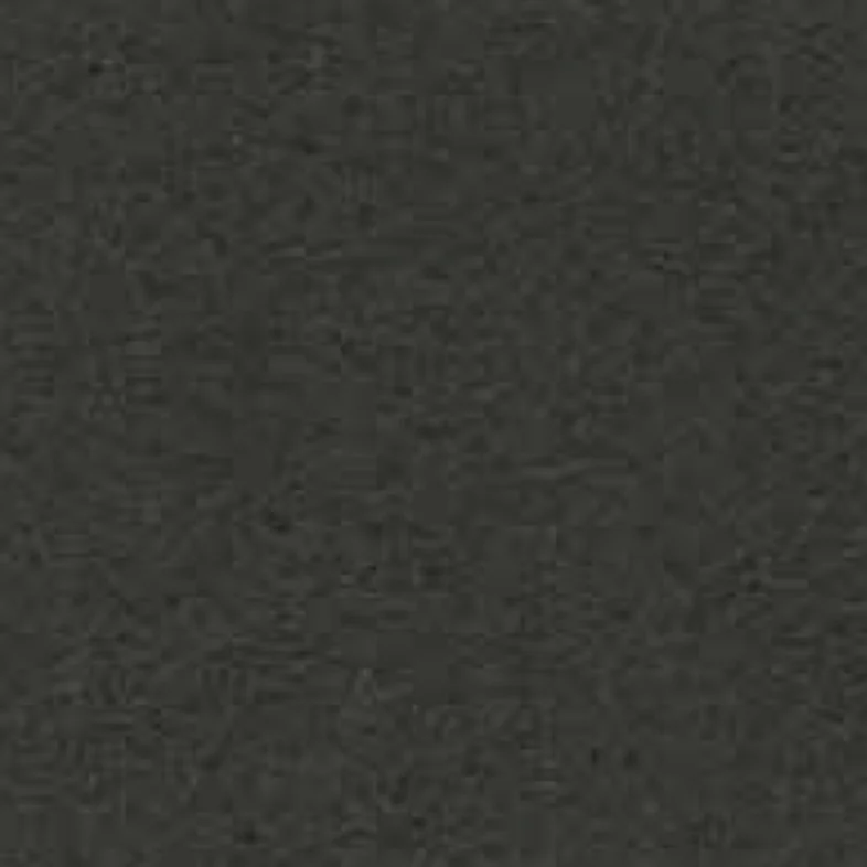 Leder Cat. VIP - Vogue 404