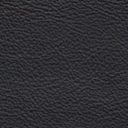 Leder Colorado Schwarz