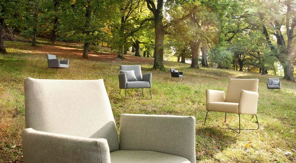 Fischer Möbel Kalos Loungegruppe in verschiedenen Farben auf einer Wiese im Wald, stimmungsvolles Bild mit natürlichem Hintergrund.