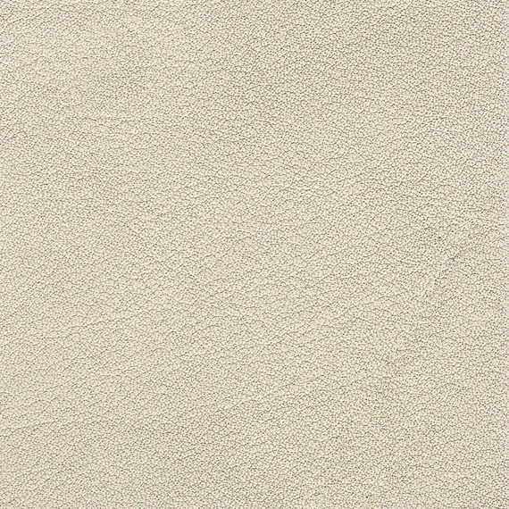 Leder E2 Föhn Caolino