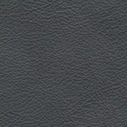 Leder Colorado Asphalt