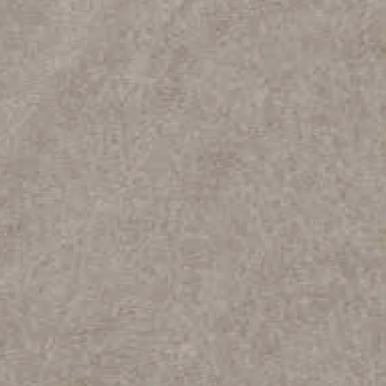 Leder Cat. VIP - Venice 004