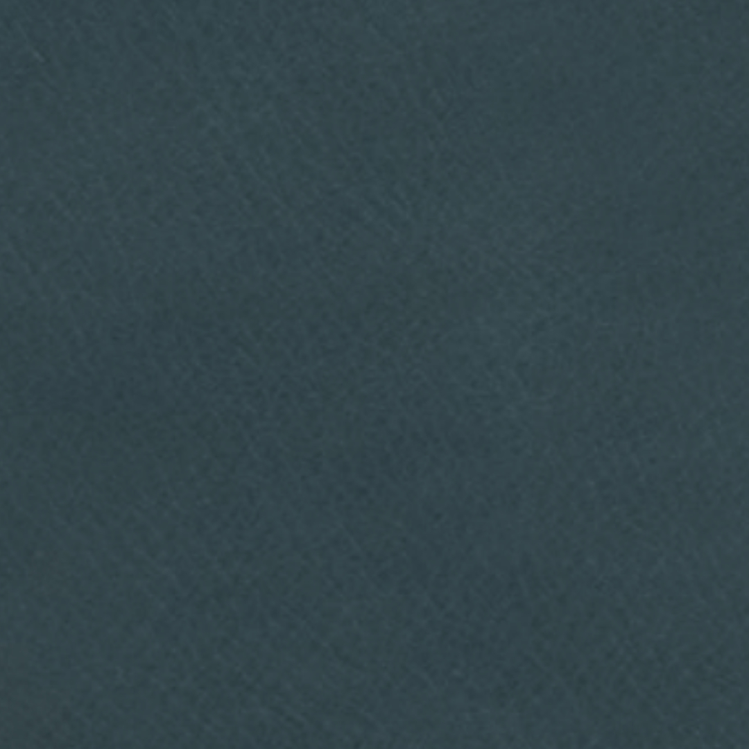 Leder 98 pelle super 0954