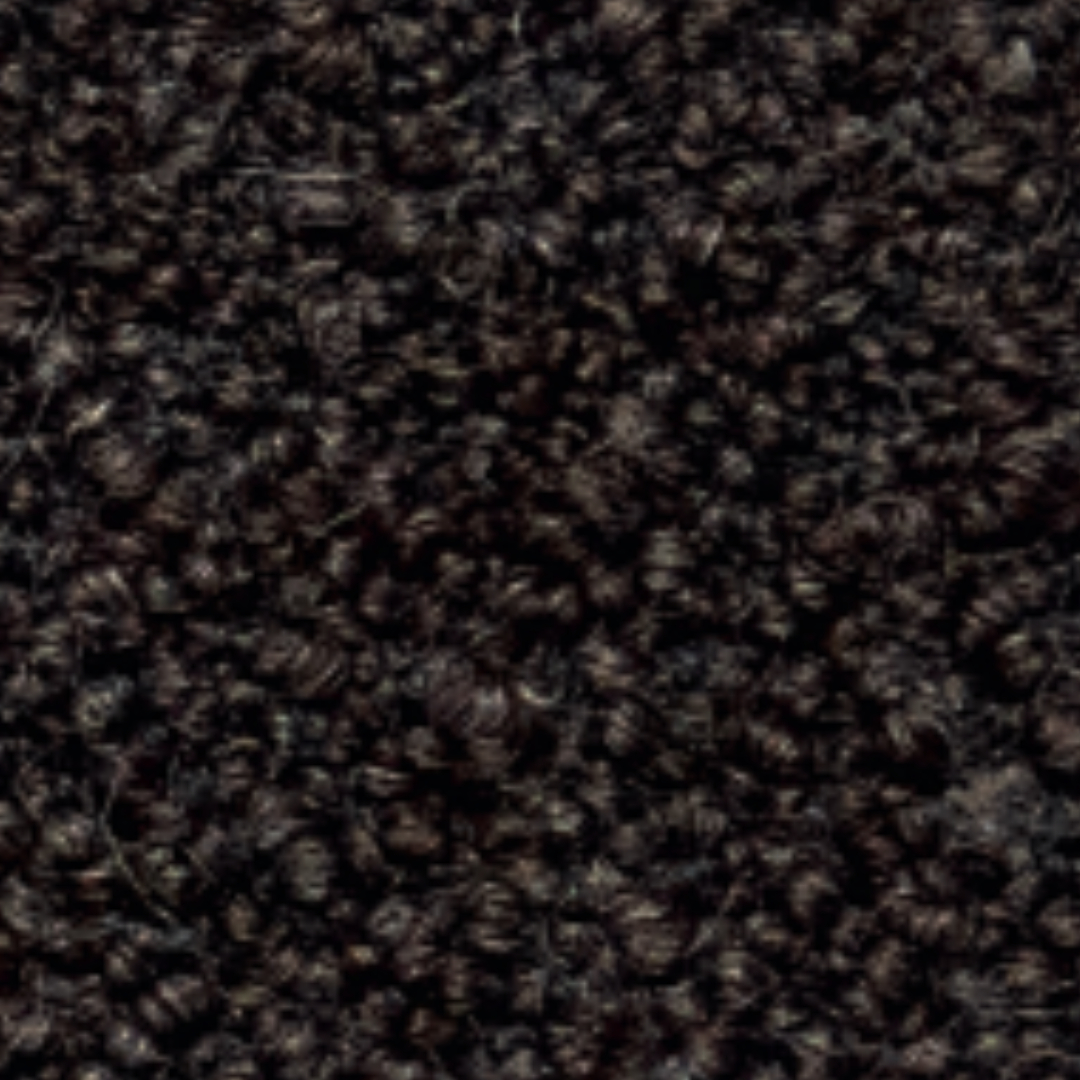 Cat.40 Quantum 40538